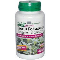 Herbal aktiv Coleus Forskohlii - indijska kopriva - 60 veg. kapsule Cene
