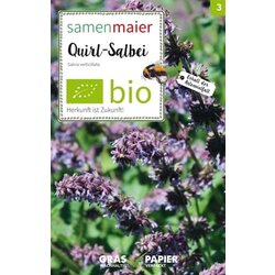 Samen Maier Divji cvet Lilac sage Cene