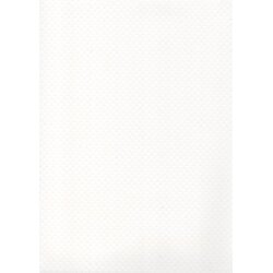 ELBE Bazenska folija Elite Premium Line - Arctic White - Debelina 1,5 mm / 25 x 2,00 m Cene
