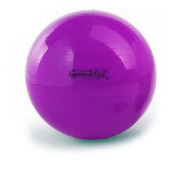 Ledragomma Žoga PEZZI GymBall, vijolična, škatla, 53 cm Cene
