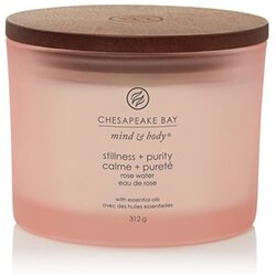 Chesapeake Bay Candle Mind & Body Stillness & Purity dišeča sveča I. 312 g Cene