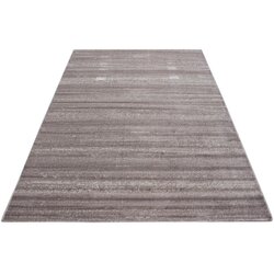 Ay Yildiz TKANA PREPROGA Plus 8000 120/170 cm tkano bež Cene