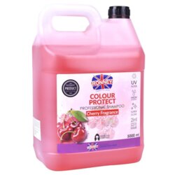 RONNEY šampon za suvu i farbanu kosu CHERRY 5L Cene
