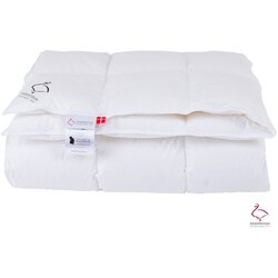Ringsted Dun Celoletna prešita odeja s polnilom iz perja 200x140 cm Snow Queen – Cene