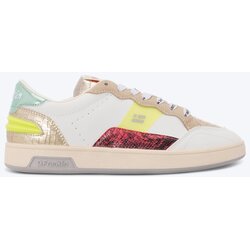 D.Franklin ženske pATIKE MATCH SKATE W DFSH403001-GREEN Cene
