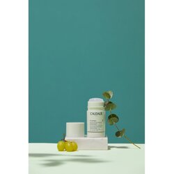 Caudalie Vinofresh Natural Stick Deodorant 24H prirodni dezodorans sa zaštitom do 24 sata 50 g unisex Cene