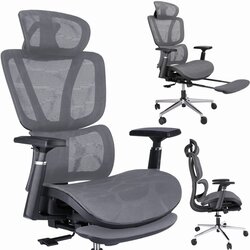 Jumi Ergonomski fotelj NEOVA z oporo za noge - siv, (22025183) Cene