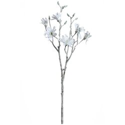  MAGNOLIJA 85CM BIJELA PALAZZO 041606 LEONARDO Cijene
