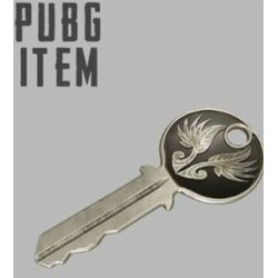 PUBG PlayerUnknown's Battlegrounds: Early Bird (DLC) Official Website Key GLOBAL Cene