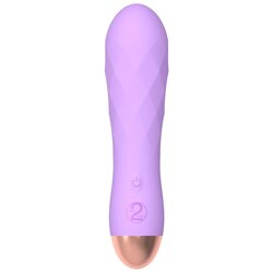 AsRock Mini - punjivi, vodootporni, rešetkasti vibrator (ljubičasta) Cene
