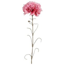 Mica Decorations Umetna roža Nagelj (66 cm, Plastika) Cene