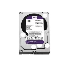 Western Digital HDD WD PURPLE™ 1TB Cene
