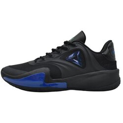 Peak Sport patike za košarku peak E241161A black Cene