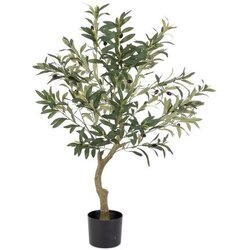 Maslina 90CM PVC BIZZOTTO Cene