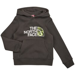 The North Face Boys Drew Peak P/O Hoodie Siva Cijene
