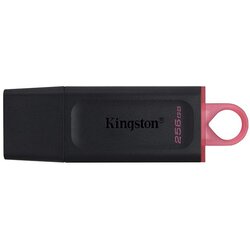 MEM UFD 256GB DTX KIN Cene