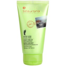 Sea of Spa Essential Dead Sea Treatment krema za stopala s mineralima iz mrtvog mora 150 ml Cijene