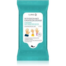 Luba Antibacterial Wet Wipes vlažni čistilni robčki za roke 15 kos Cene