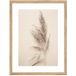 knor Plakat s okvirom 30x40 cm Grass Cene