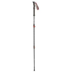 Robens Pohodni palici ambleside c66 690260 Cene