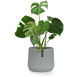 Fox & Fern Heusden, kvetináč, Polystone, vhodný pre rastliny, ručná výroba Cijene