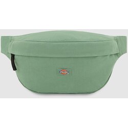 Dickies Torbica za okrog pasu 'Duck' svetlo zelena Cene