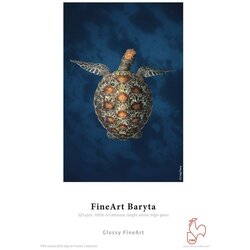 Hahnemuehle Hahnemühle FineArt Baryta A 4 325 g, 25 Sheet, highgloss Cene