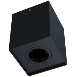 LED-LABS Stropna nadometna svetilka BERGEN - črna Cene