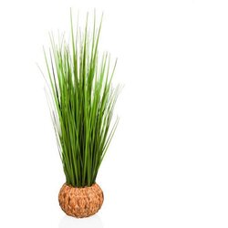 MID.YOU Umetna Rastlina Cortaderia Cene