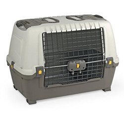 Skudo transporter Car 80 Cene