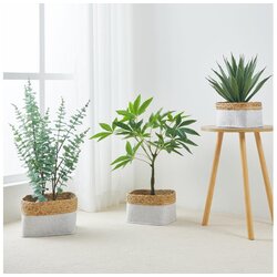 Eglo 426585 - SET od 3 dekorativnih korpi NANAE 16x27 cm bela/bež Cene