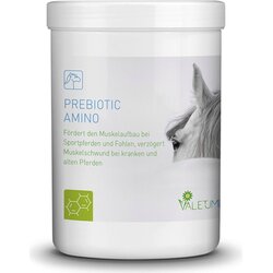 Valetumed Prebiotic Amino - 750 g Cene