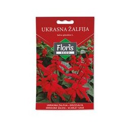 Hortusi FLORIS cveće ukrasna Žalfija 0.3 g Cene