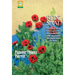 ReinSaat Mak "Pierrot" Cene