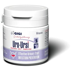 GIGI Uro-Ursi 90 tableta Cene