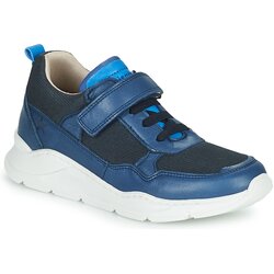 Bisgaard PAX Blue Cene
