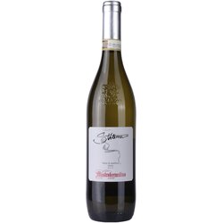 Mastroberardino Stilema Fiano Cene