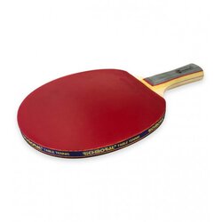 Richmoral Reket za stoni tenis DB105-1 Cene