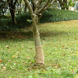 vidaXL Rola jute 0 25x25 m 100 % juta 200 g/m² Cijene