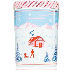 DW Home Scene & Stripes Peppermint Bark dišeča sveča 431 g Cene