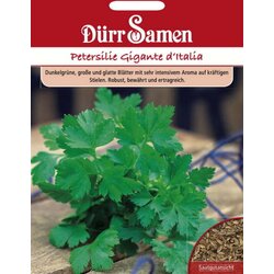 Dürr Samen Peteršilj "Gigante d'Italia" - 1.500 zrn. Cene