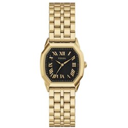 Fossil Harlow ES5433 Ženski sat Cene