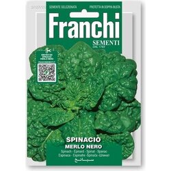 FRANCHI SEMENTI Špinača "Merlo Nero" Cene