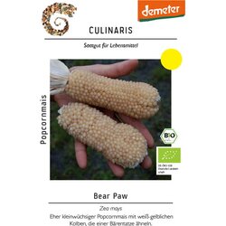 Culinaris Bio koruza za pokovko Bear Paw Cene