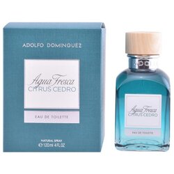 Adolfo Dominguez Agua Fresca Citrus Cedro Toaletna voda za moške 120 ml Cene