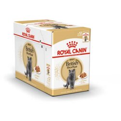 Royal_Canin British Shorthair Adult - omaka 12 x 85 g Cene