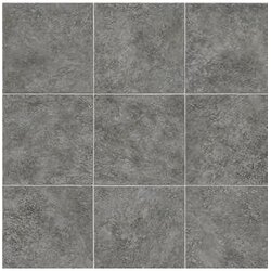 POD vinil Evolution Etna 5 4m I kl TARKETT Cene