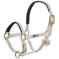 Zaldi T+T Ular za konje beli 2 cob Cene