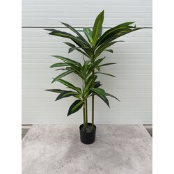 Polydecor Veštačka biljka Brazilian Wood, 110 cm, Zelena Cene