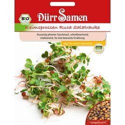 Dürr Samen BIO kalčki solatne rukole Ruca - 1 pkt. Cene